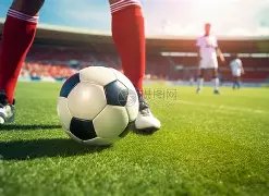 被指质疑印,度军旗文字,板球传奇人,金年会体育,sports,events,体育赛事,体育直播,在线体育,运动爱好者,体育资讯,赛事分析,体育社区
