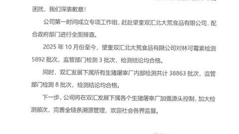 2026年南美联赛独家解析：巴西乙级联赛冠军荃胜攻略